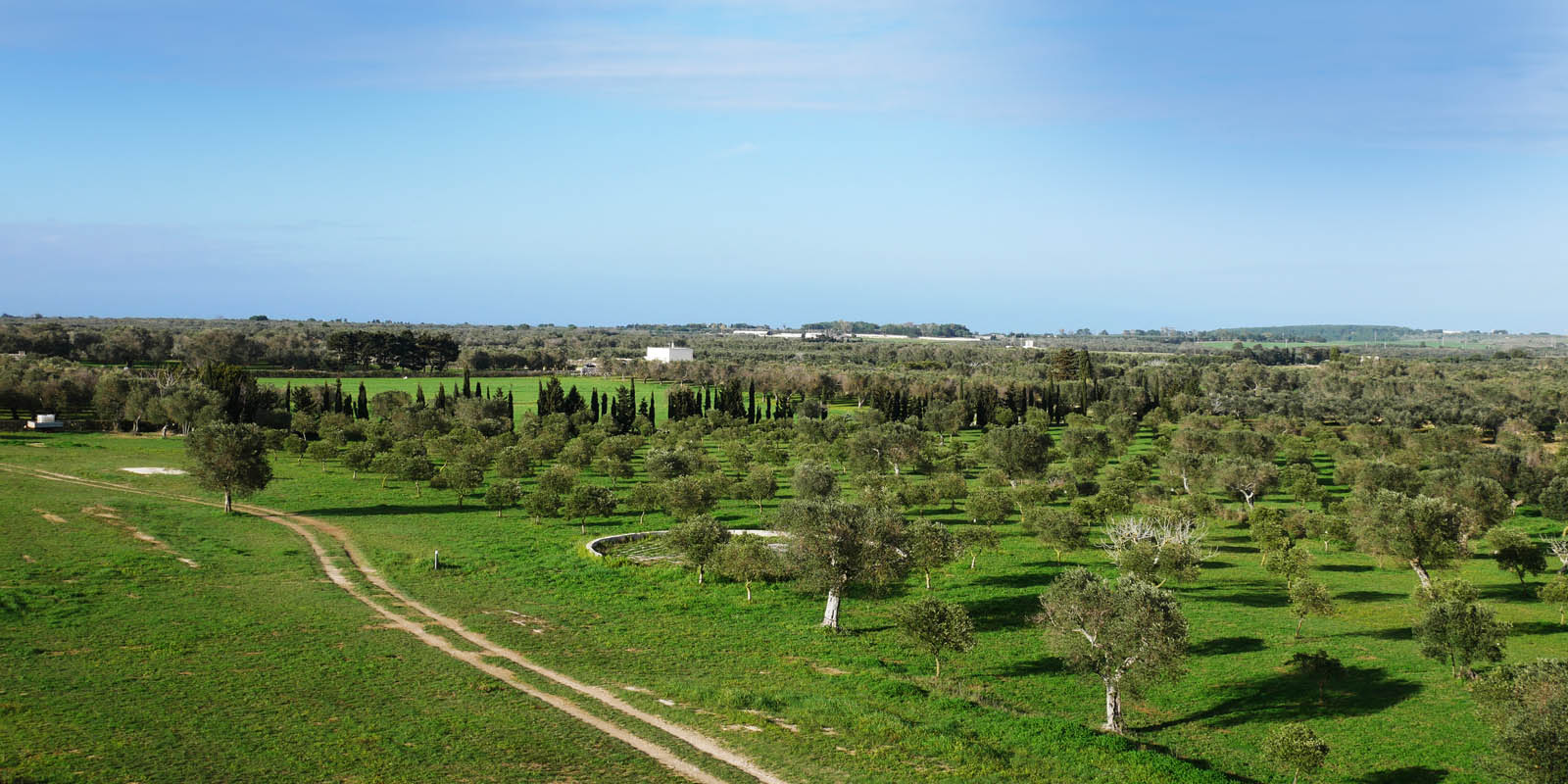 Il Salento de La Lazzara