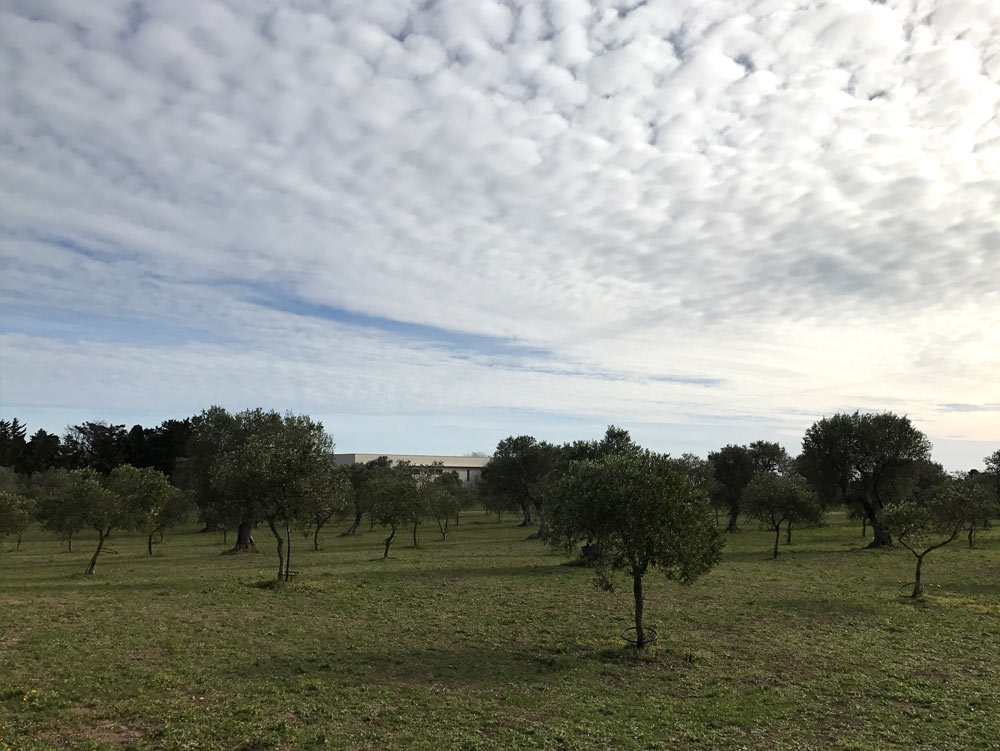 La Masseria e gli appartamenti: dal restauro di umberto Riva alla ricettività turistica